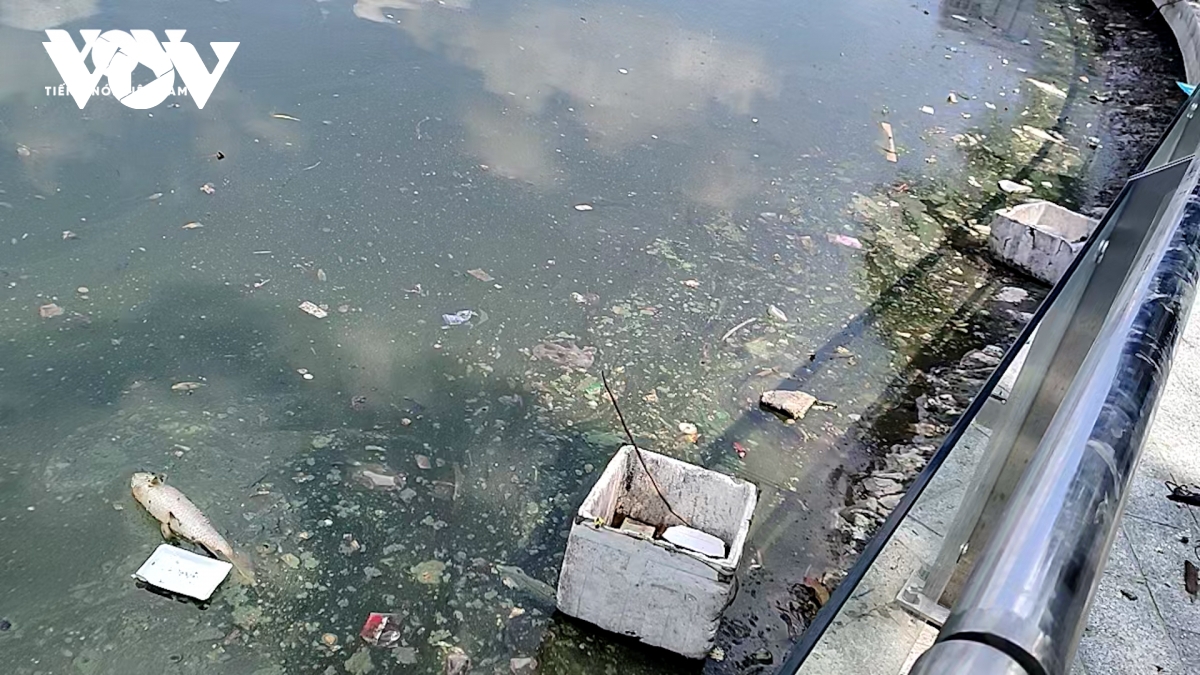 Hồ Hoàng Cầu vẫn ngổn ngang rác thải sau mưa lớn